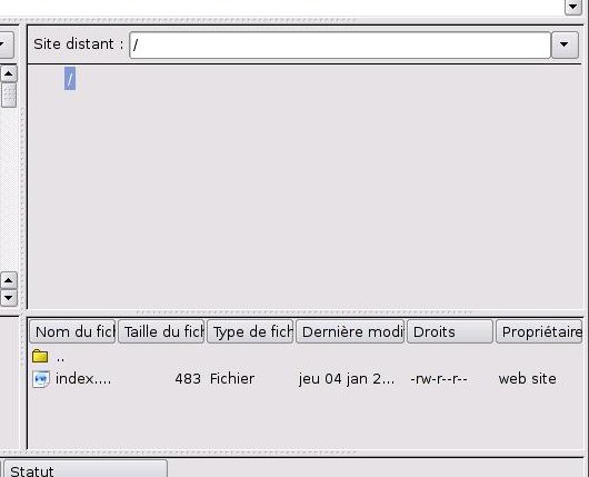 capture ecran filezilla